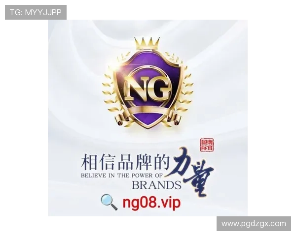 PG国际官方网站安全可靠性分析，保障玩家资金与个人信息安全的详细措施