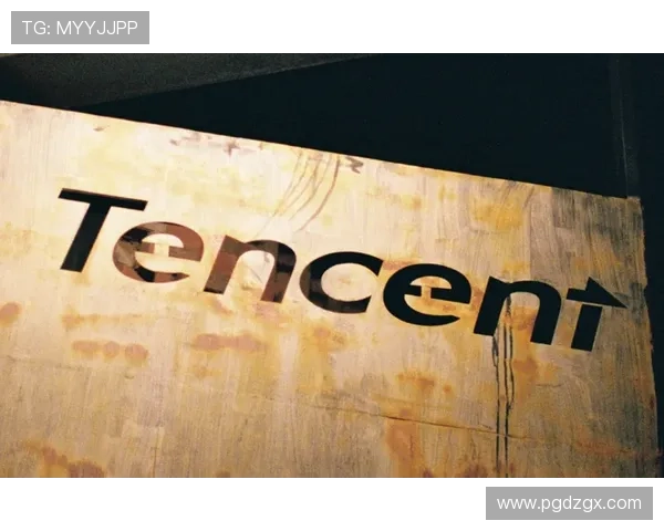 PG插件官方下载包官方推荐版本，优化性能提升使用效率