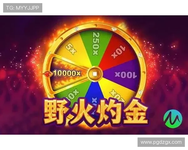 PG电子app官方入口最新版本上线，畅享高品质游戏内容与便捷的登录方式