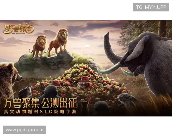 PG游戏单机版免费下载体验最新最全的高品质游戏资源推荐